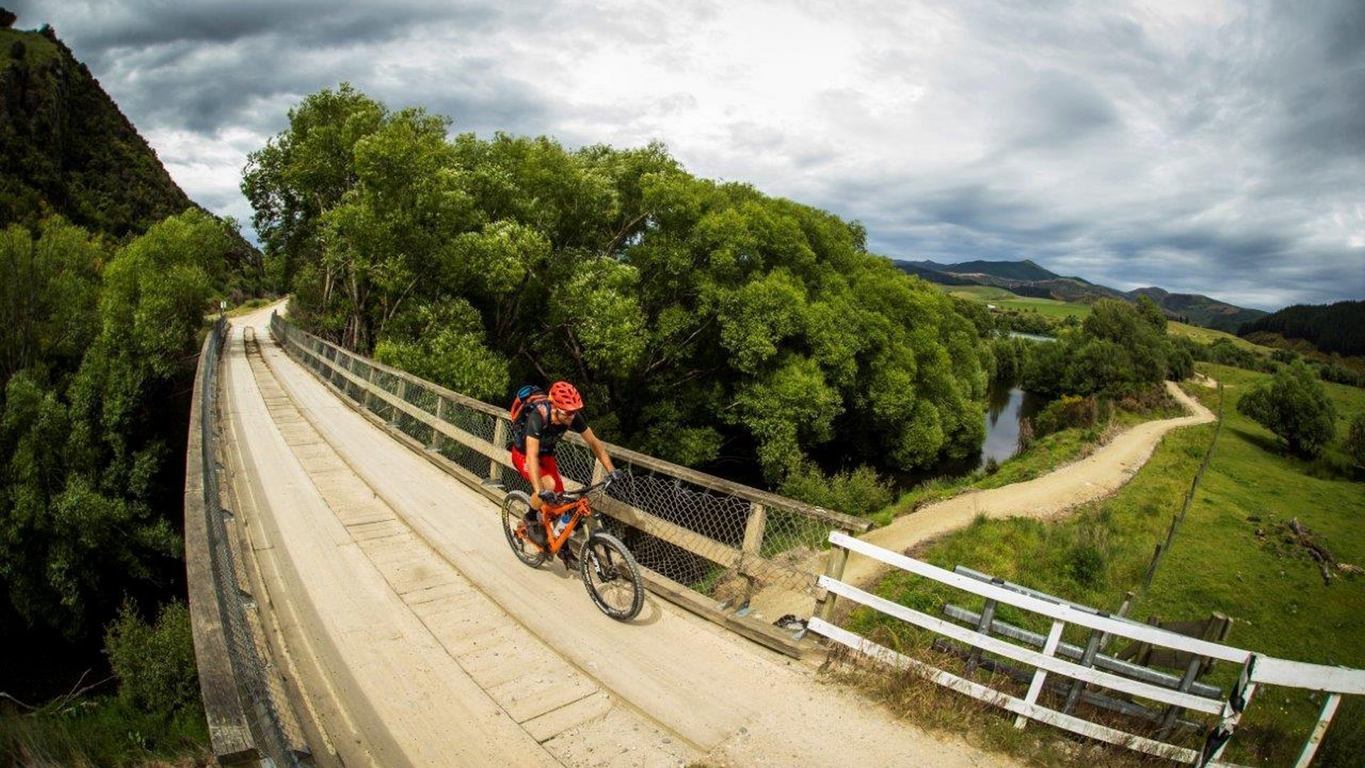 Flora | Clutha Gold & Roxburgh Gorge Trails