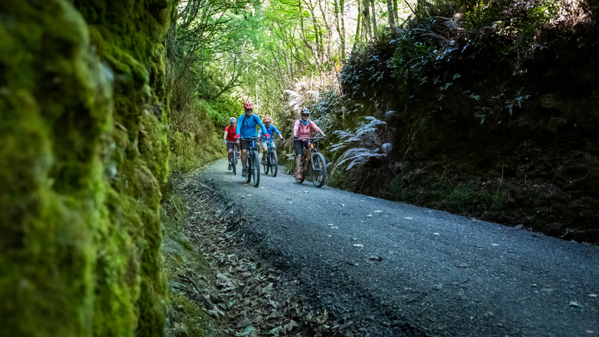 Clutha Gold and Roxburgh Gorge Trails