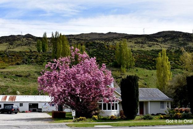 Johnsons Cottage